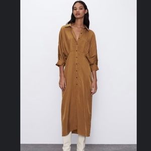 Zara Pleated Shirt Dress